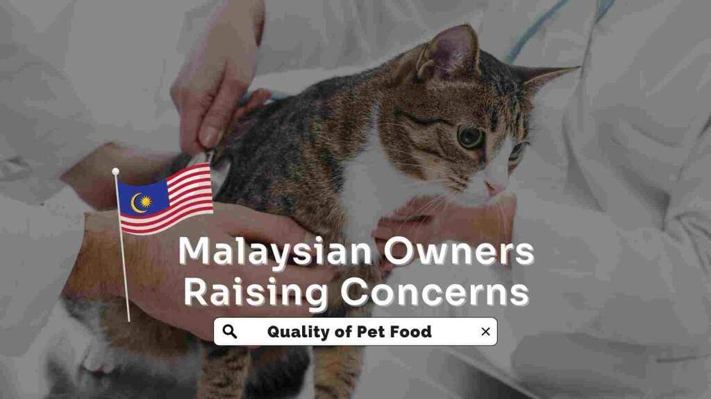 Paw-some Awakening: Malaysian Owners Raising Concerns and Awareness on the Quality of Pet Food