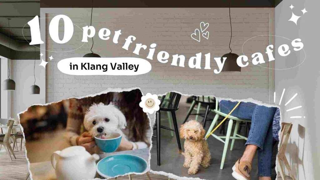 10 Pet Friendly Cafes in Klang Valley 2026