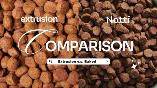 Why baked kibbles are better? Extrusion v.s. Baked