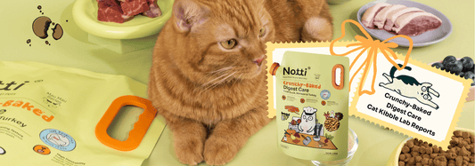 Notti Crunchy-Baked Digest Care Cat Kibbles: Third-Party Lab Test Results