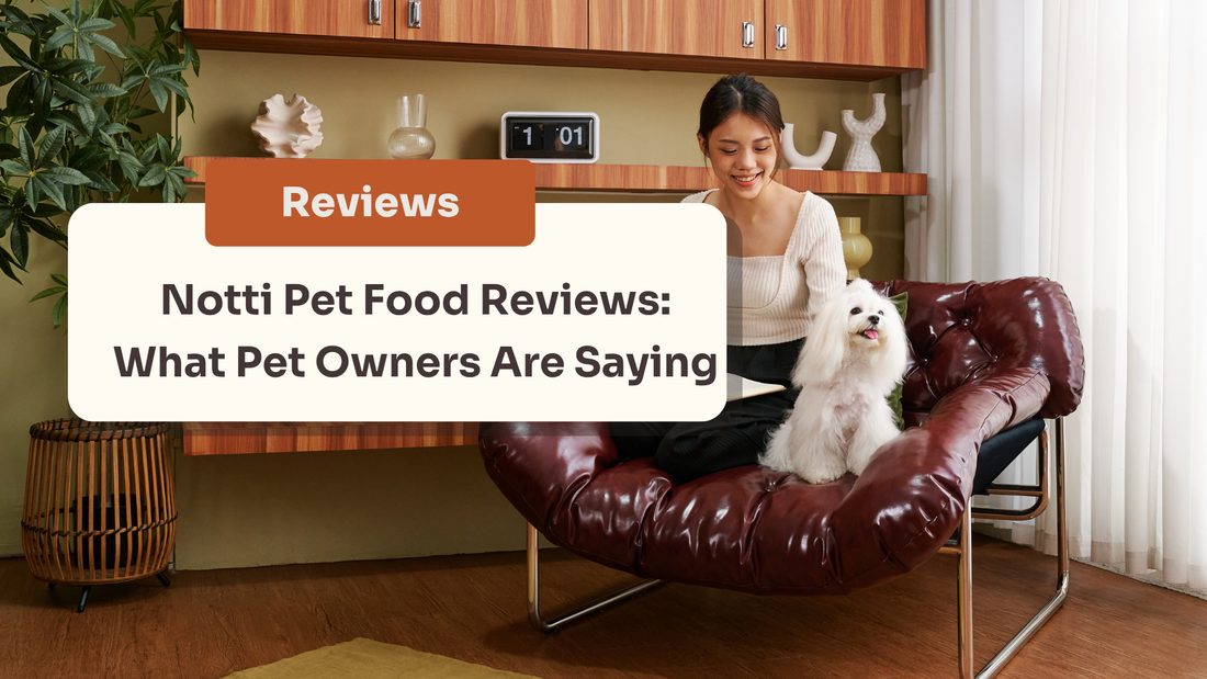 Is Notti the Best Pet Food of 2026? An Honest, Unfiltered Review