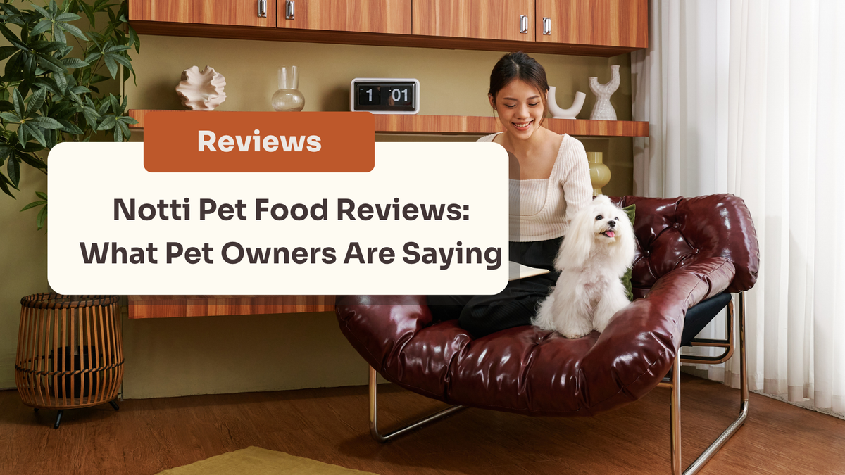 Is Notti the Best Pet Food of 2026? An Honest, Unfiltered Review