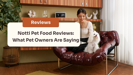 Is Notti the Best Pet Food of 2026? An Honest, Unfiltered Review