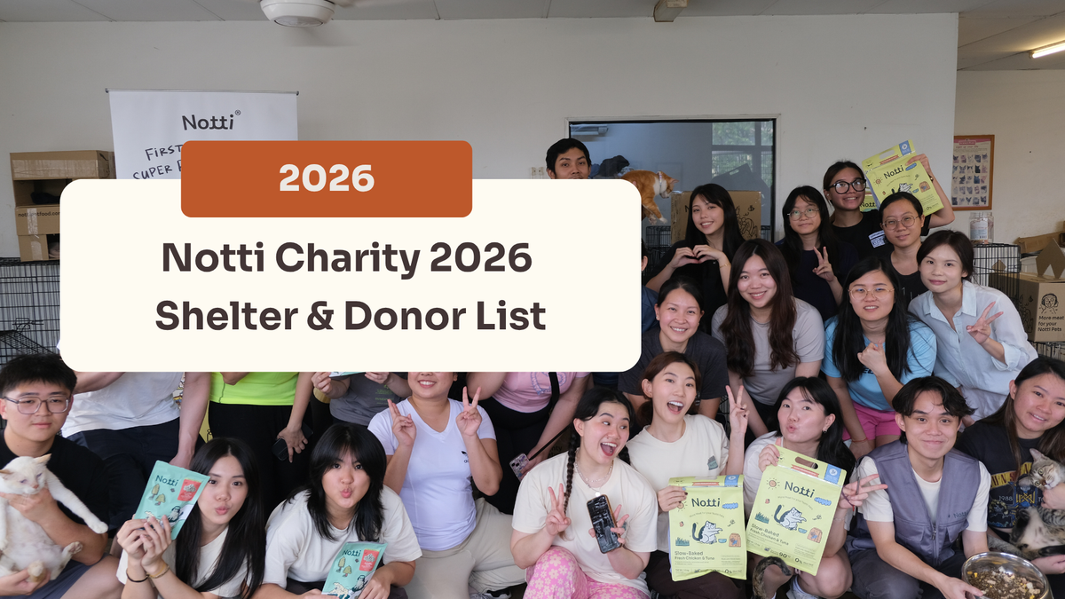 Notti Charity 2026 Shelter & Donor List