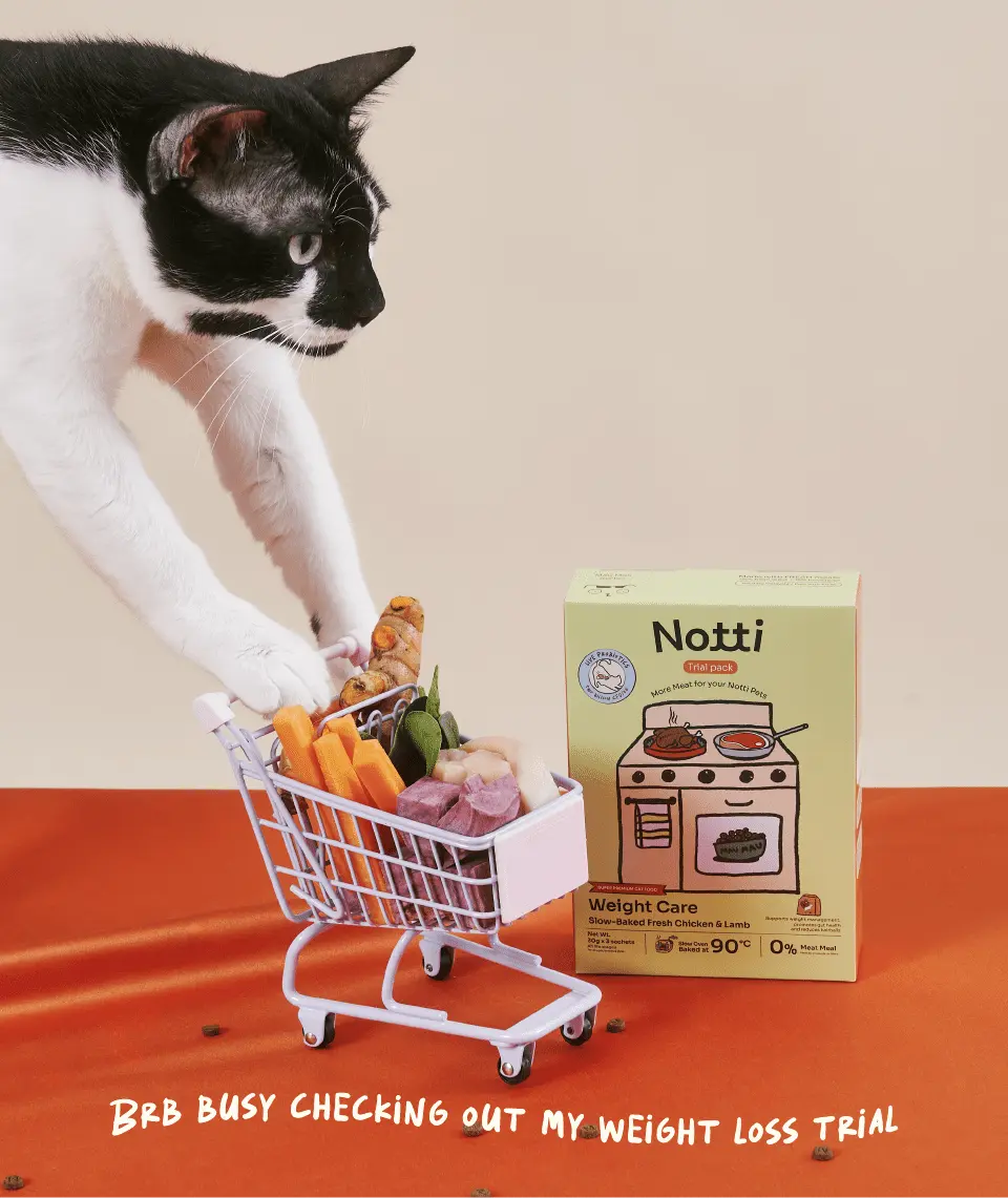 (For Indoor Cats) Slow-Baked Fresh Chicken & Lamb Weight Care Trial Kit image 2