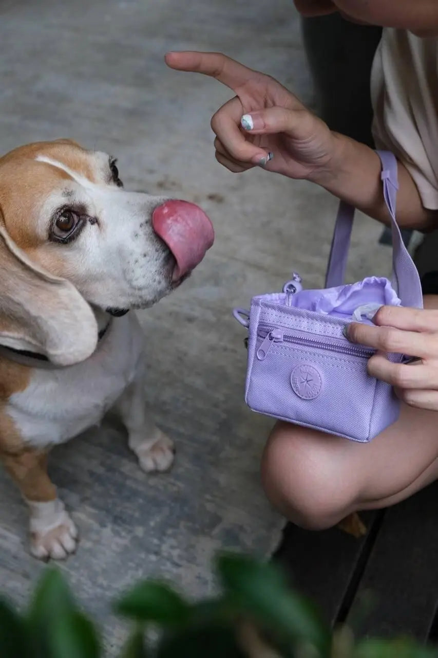 Notti Let's go! Bag image 9