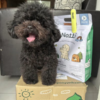 Notti Scoopi image 2