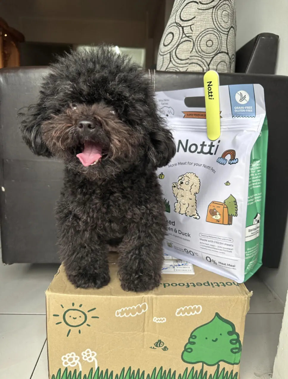 Notti Scoopi image 2