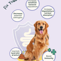 Allergy Care Slow-Baked Fresh Duck & Salmon Trial Kit image 7