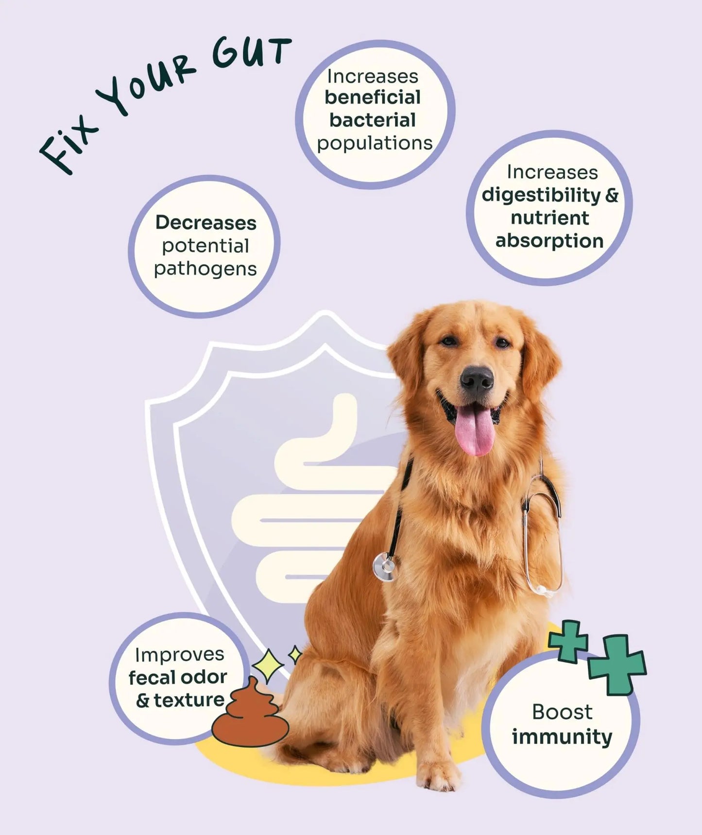 Allergy Care Slow-Baked Fresh Duck & Salmon Trial Kit image 7