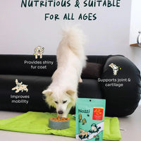 Joint Care Beef & Salmon Freeze-Dried Chunks image 6