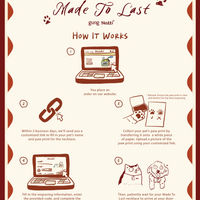 Notti x Gung Made To Last Paw Print Necklace image 7