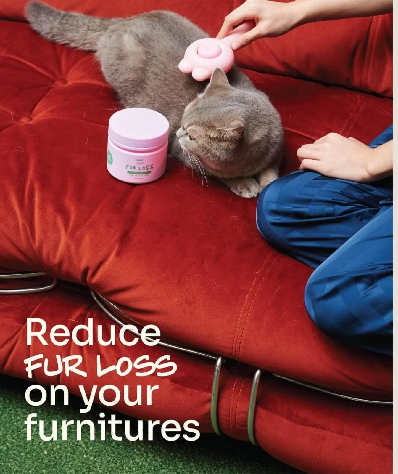 Notti but I Have Fur Loss image 6