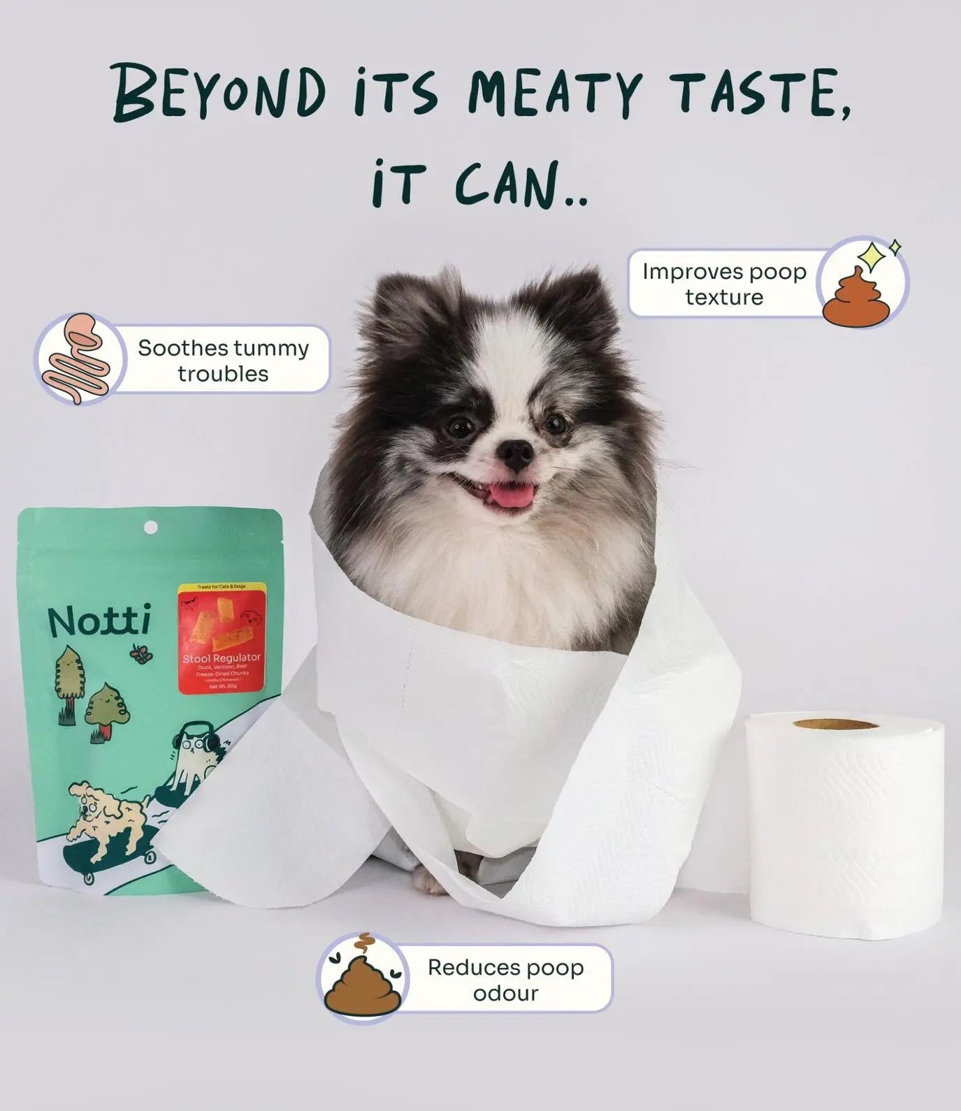 Stool Regulator Duck, Venison, Beef Freeze-Dried Chunks image 7