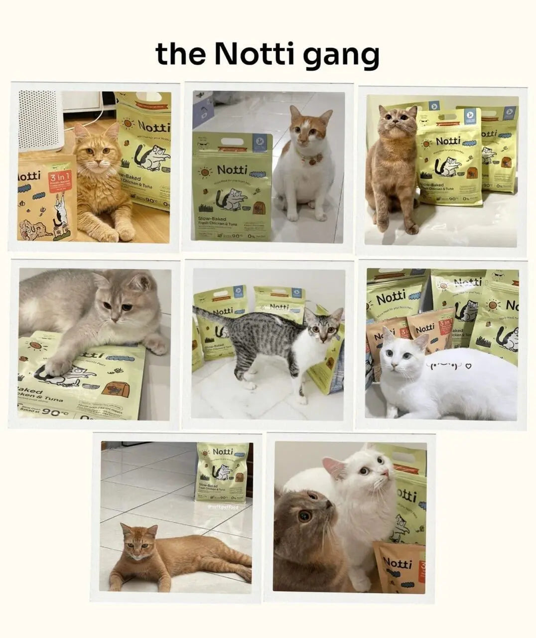 Slow-Baked Fresh Chicken & Tuna Trial Kit image 6