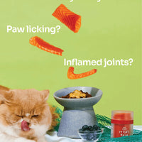 Notti But I Have Itchy Skin image 7