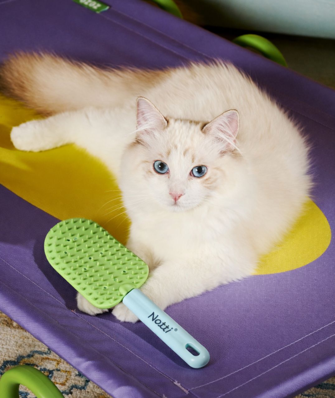 Notti 2-Way Cat Brush