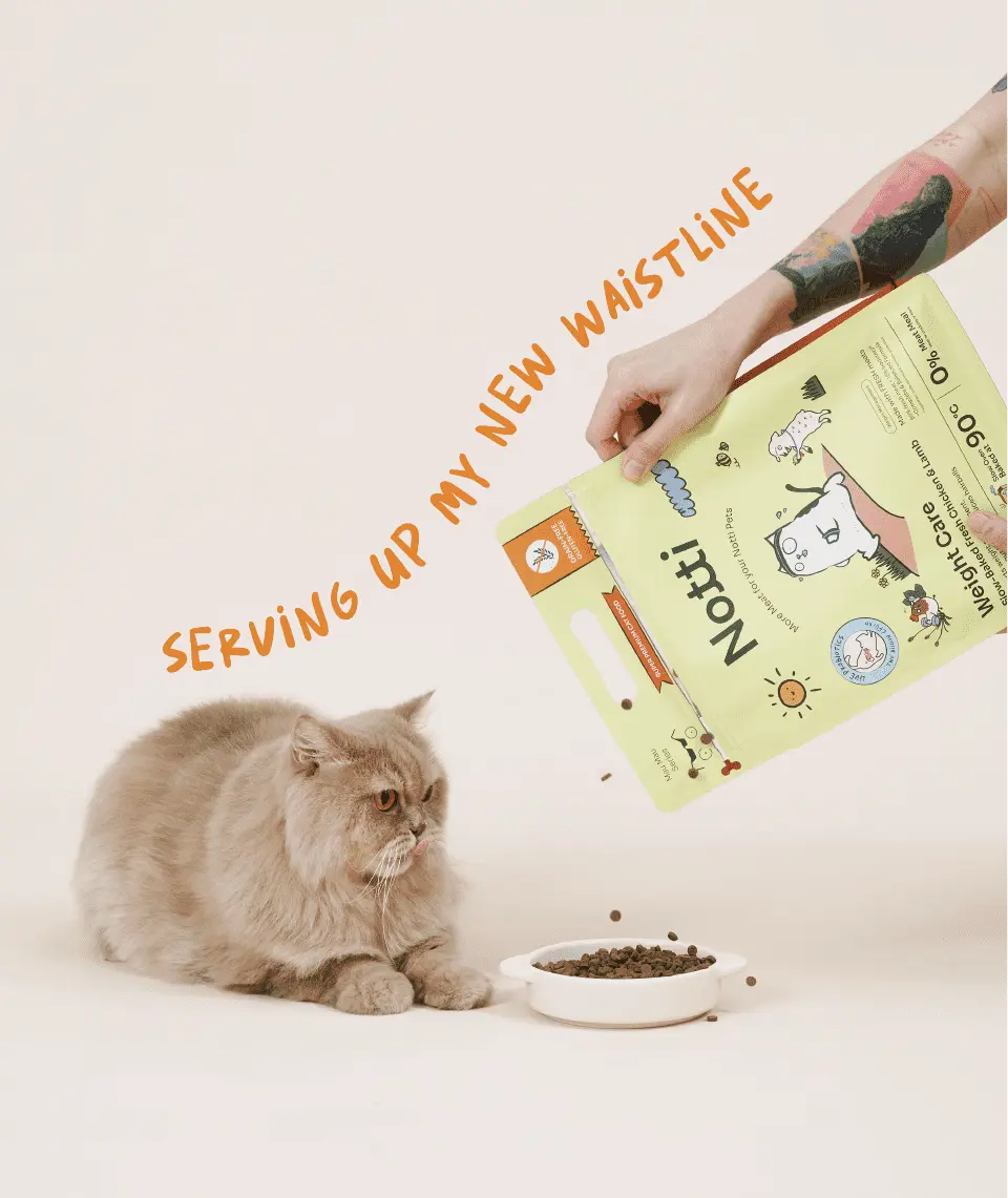 (For Indoor Cats) Slow-Baked Fresh Chicken & Lamb Weight Care image 2