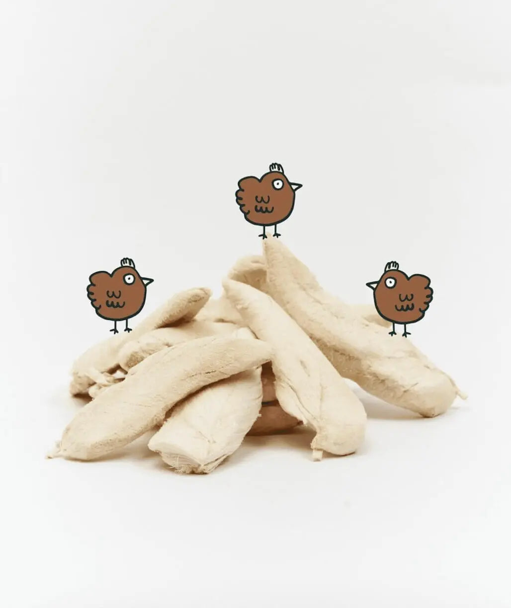 Chicken Breast Freeze-Dried Fillet image 1