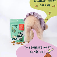 Stool Regulator Duck, Venison, Beef Freeze-Dried Chunks image 5