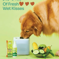 Notti but I Have Bad Breath image 4