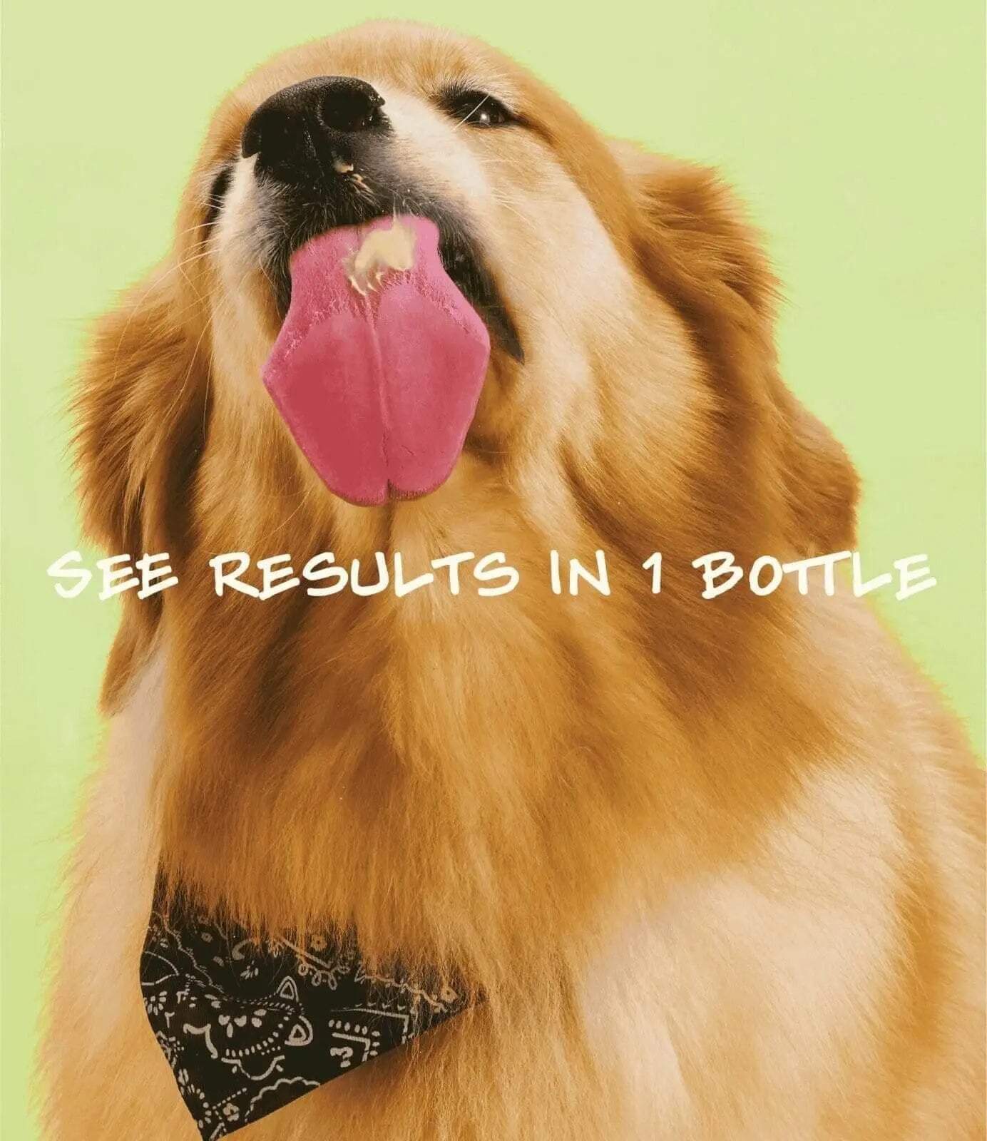 Notti But I Have Itchy Skin image 6