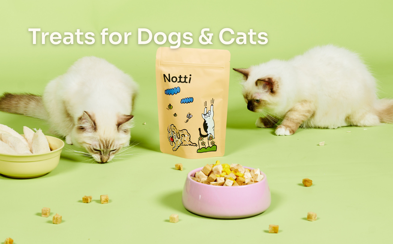 Notti Pet Food