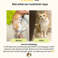 Slow-baked Fresh Chicken & Tuna image 3