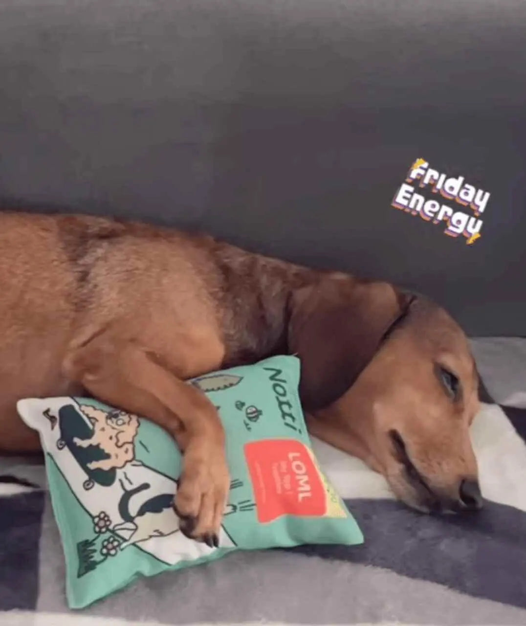 It's Snack Time! Plushie (Limited Edition) image 3