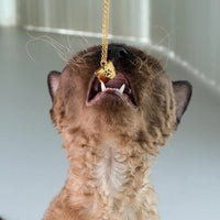 Notti x Gung Made To Last Paw Print Necklace image 6