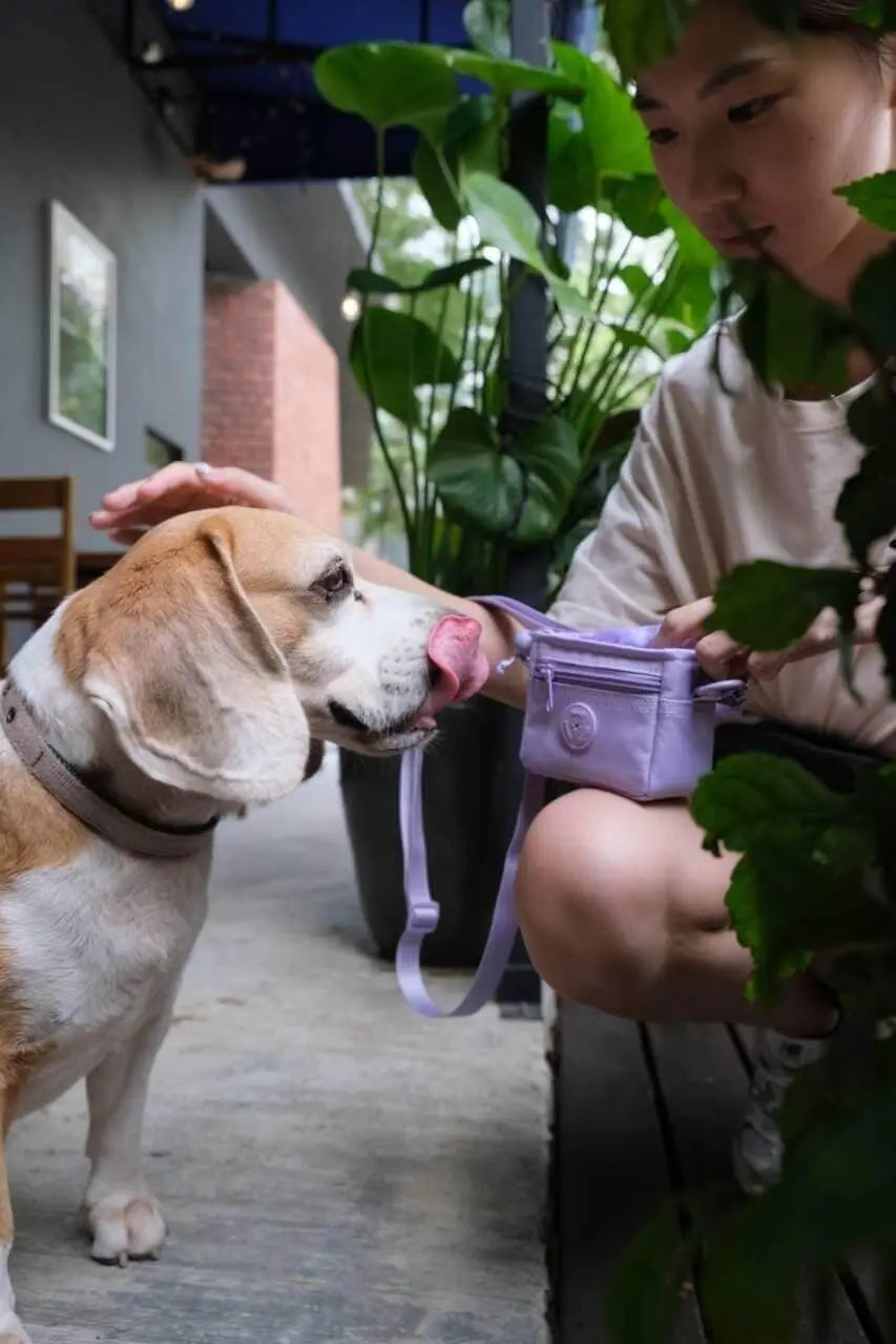 Notti Let's go! Bag image 8