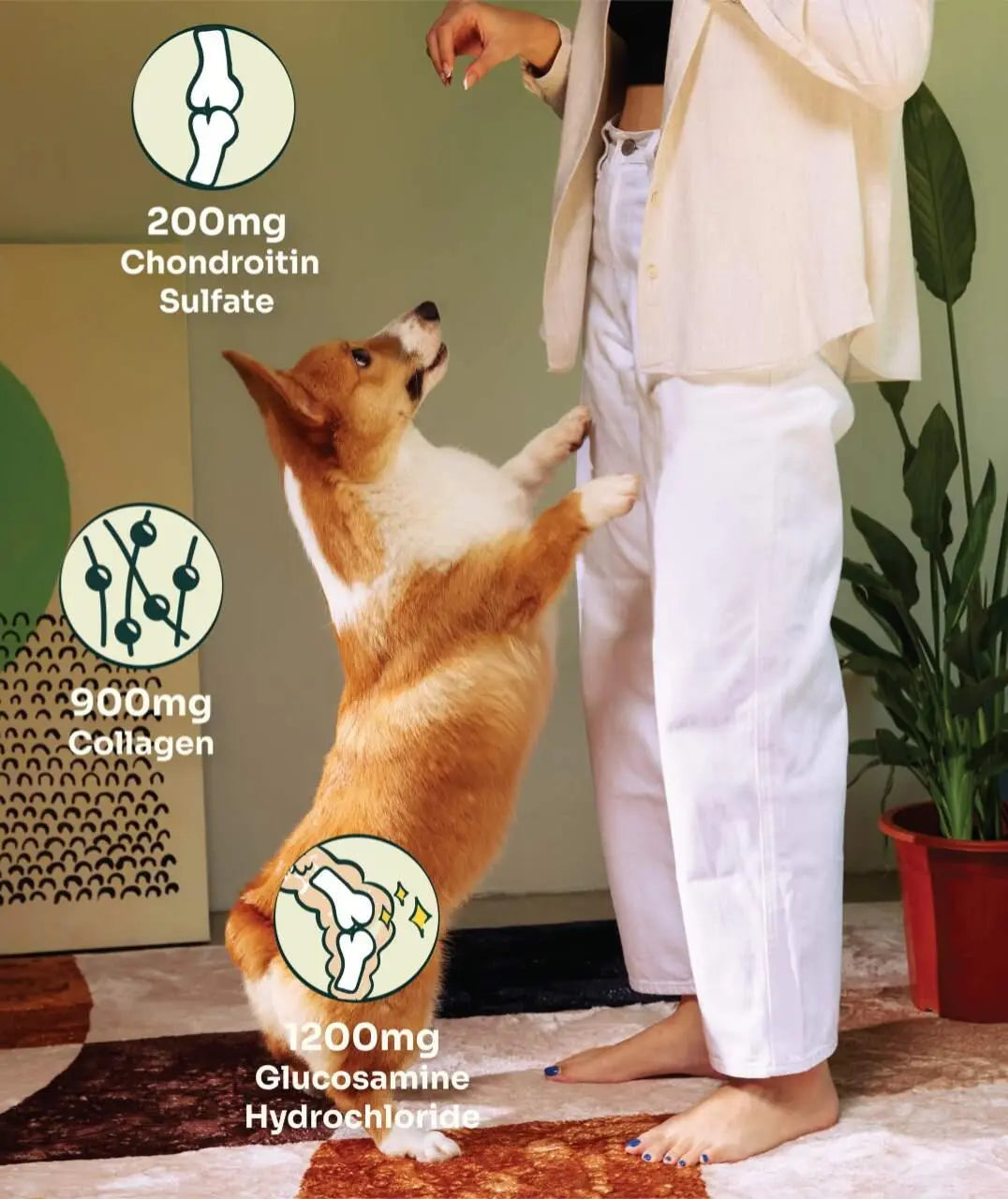 Joint Care Fresh Duck & Beef image 8