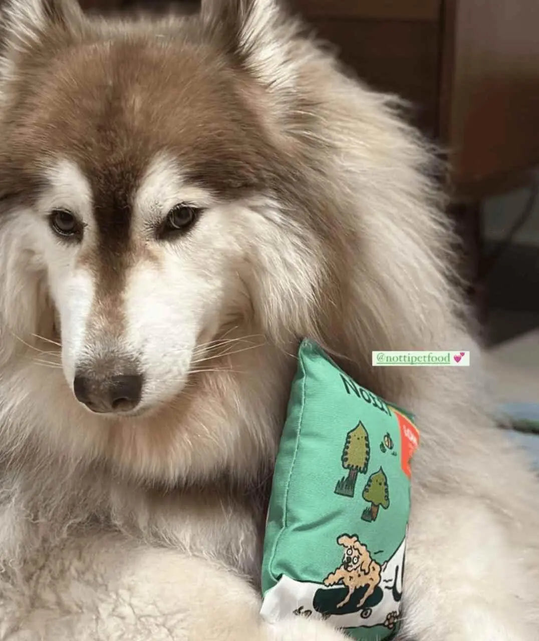 It's Snack Time! Plushie (Limited Edition) image 4