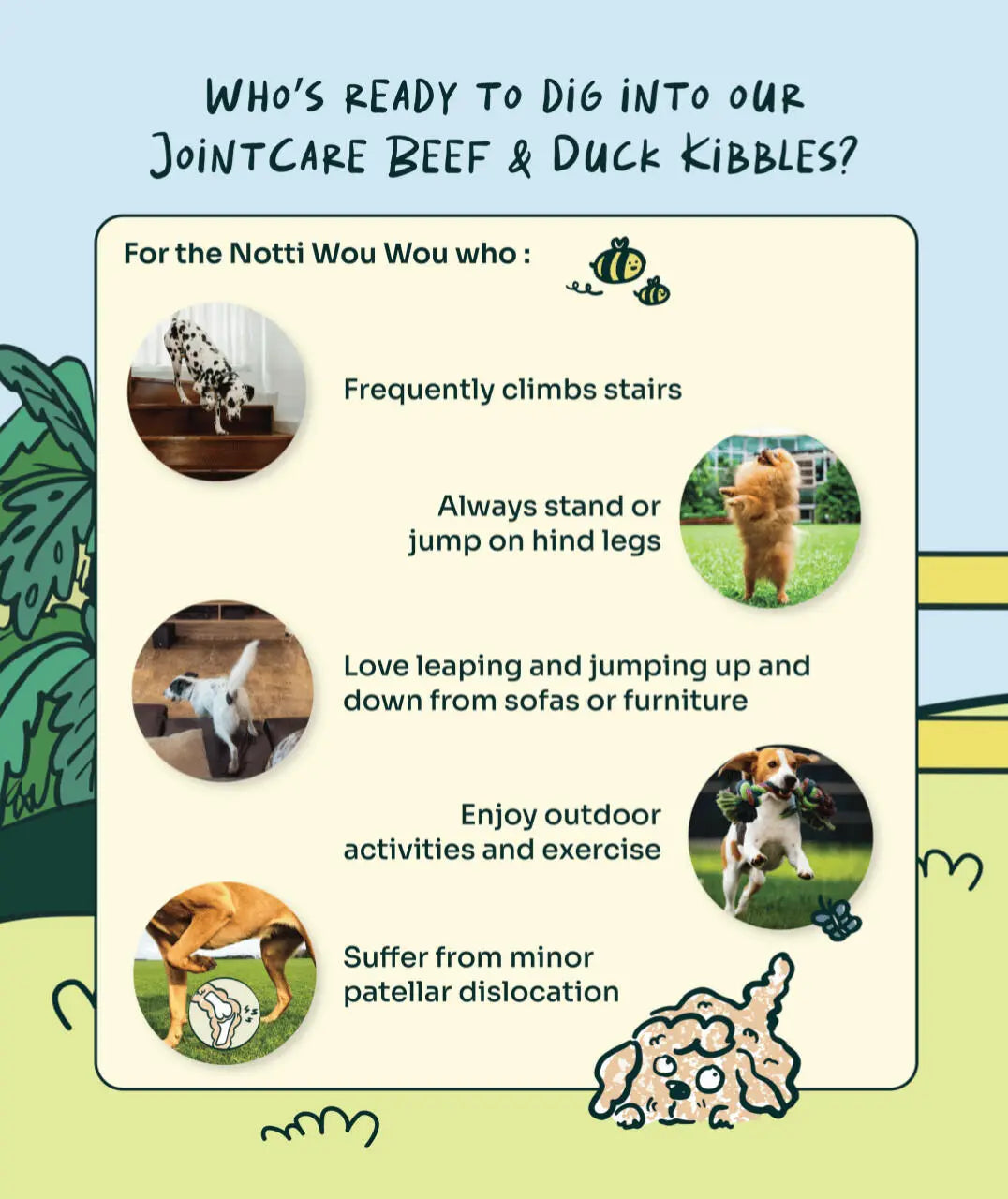 Joint Care Fresh Duck & Beef Trial Pack image 9