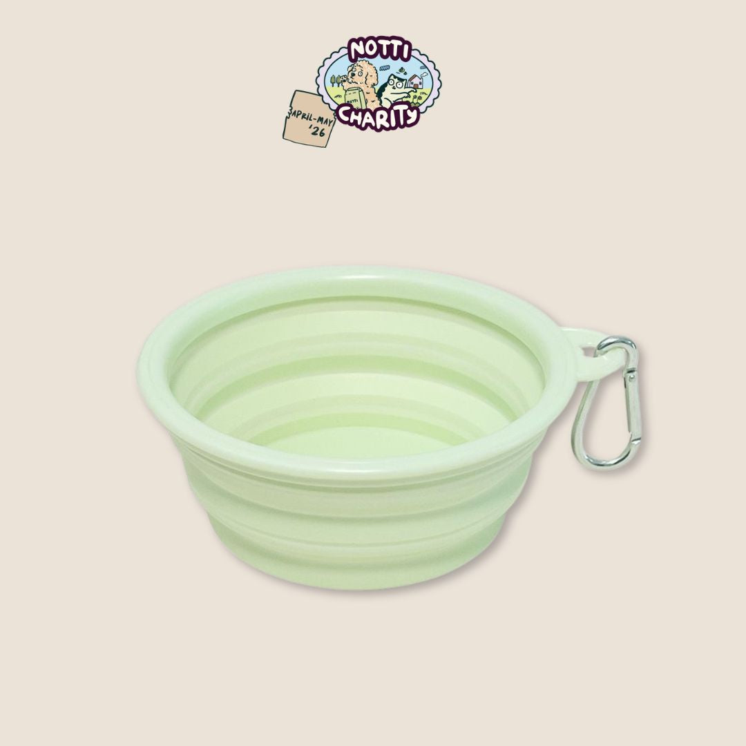 Foldable Bowl