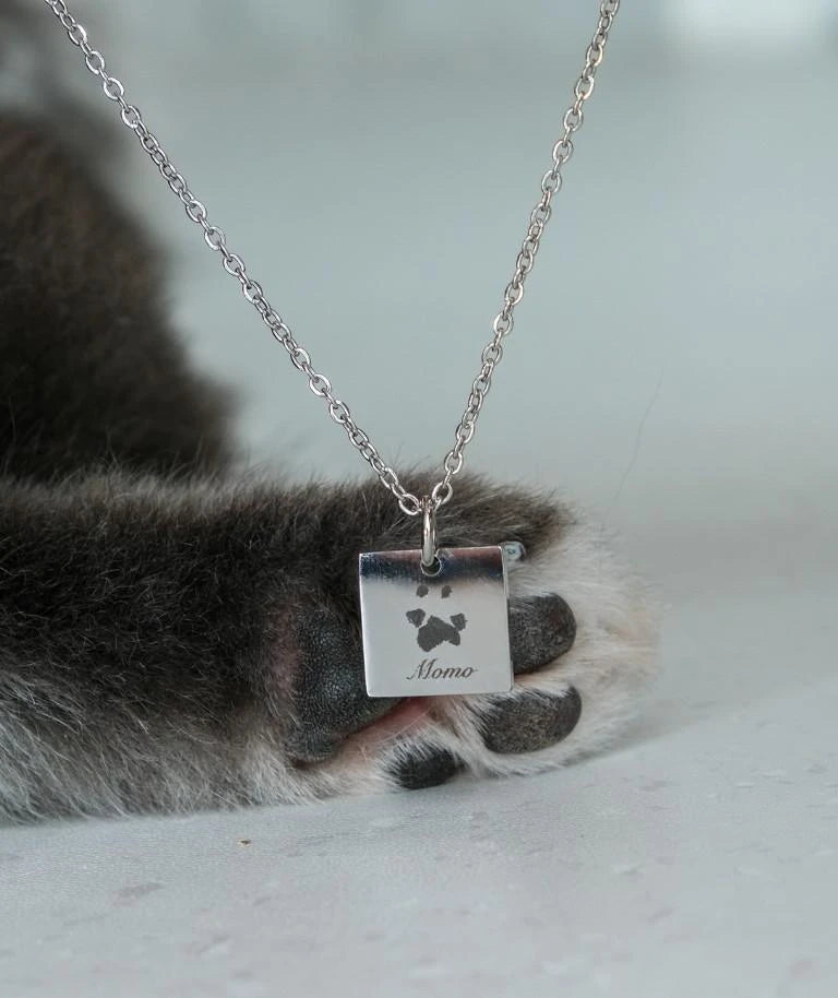 Notti x Gung Made To Last Paw Print Necklace image 4