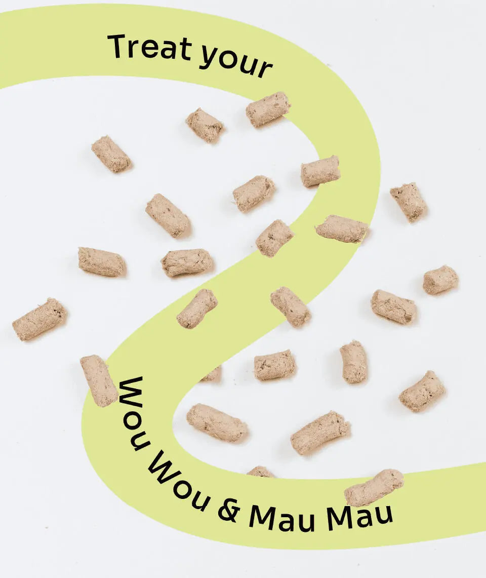 2-in-1 Allergy Care Turkey & Duck Freeze-Dried Chunks image 2