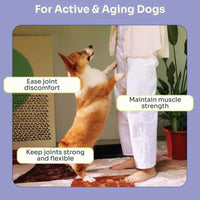 Joint Care Fresh Duck & Beef Trial Pack image 3