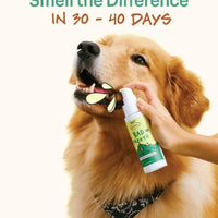 Notti but I Have Bad Breath image 8