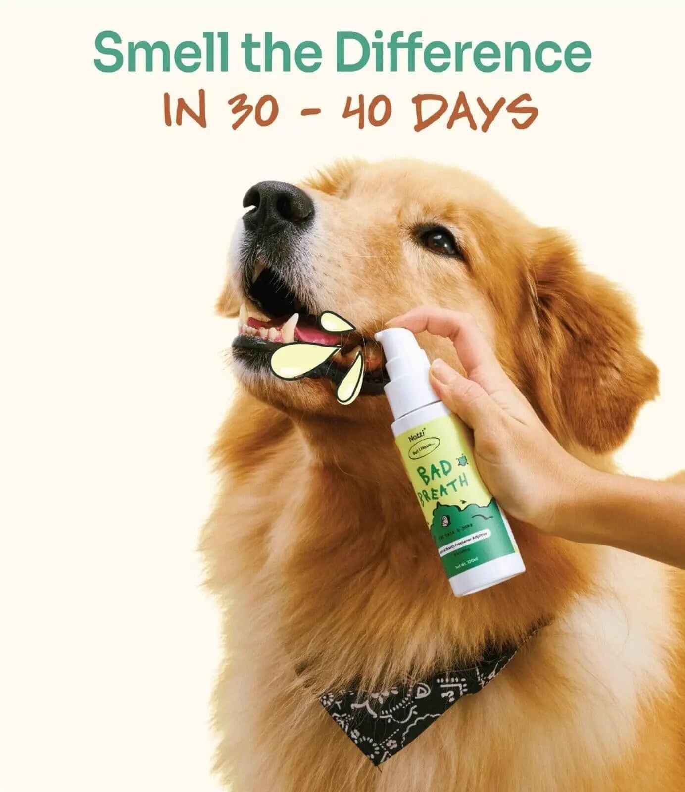 Notti but I Have Bad Breath image 8