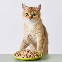 2-in-1 Allergy Care Turkey & Duck Freeze-Dried Chunks image 4