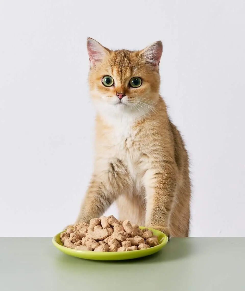 2-in-1 Allergy Care Turkey & Duck Freeze-Dried Chunks image 4