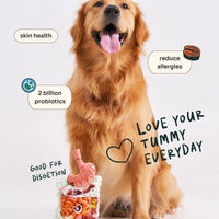 Allergy Care Slow-Baked Fresh Duck & Salmon Trial Kit image 3