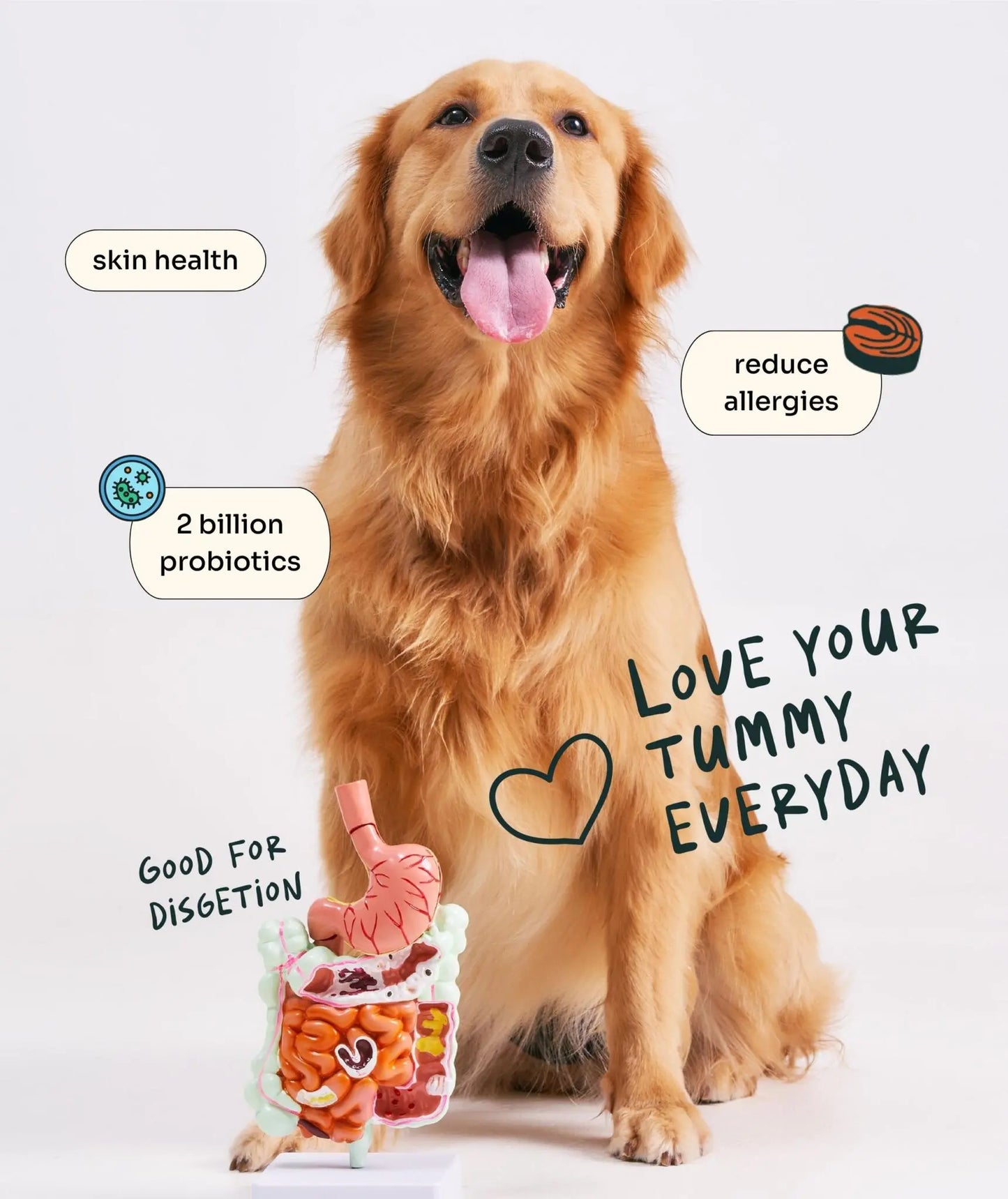 Allergy Care Slow-Baked Fresh Duck & Salmon Trial Kit image 3