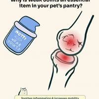 Notti But I Have Weak Joints