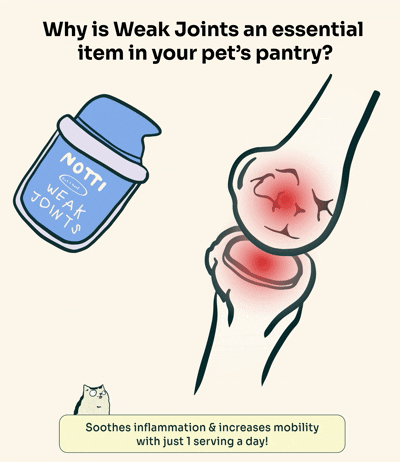 Notti But I Have Weak Joints