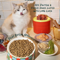Crunchy-Baked Digest Care Fresh Duck, Venison & Turkey Trial Pack