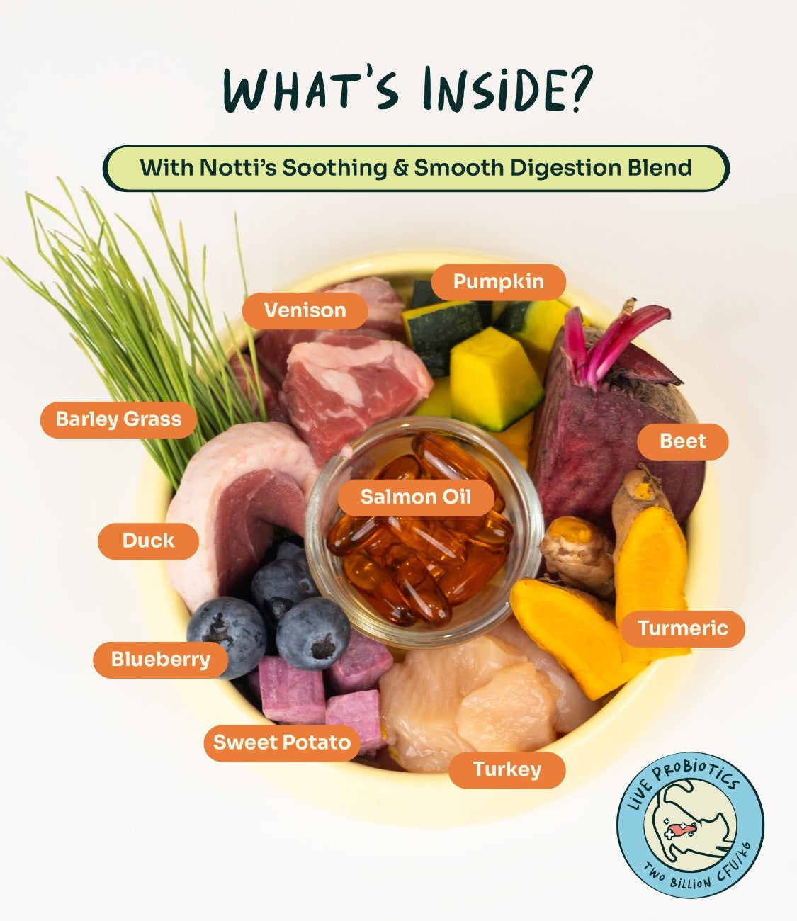 Crunchy-Baked Digest Care Fresh Duck, Venison & Turkey Trial Pack