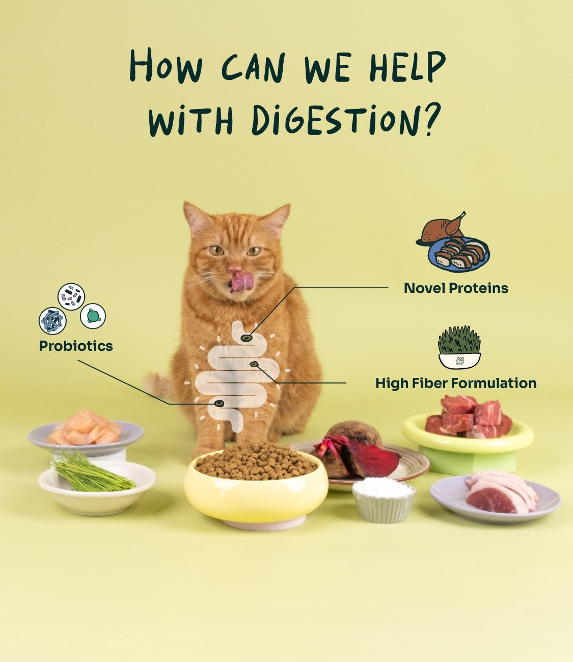 Crunchy-Baked Digest Care Fresh Duck, Venison & Turkey Trial Pack