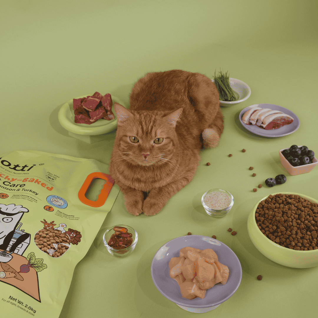 Crunchy-Baked Digest Care Fresh Duck, Venison & Turkey Trial Pack